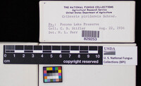 Image Associated With the Occurence